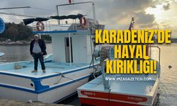 Karadeniz’de Balıkçılar Eli Boş Döndü! “Deniz Bomboş, Sıfır Avcılık”