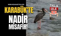 Karabük’te Nadir Misafir!