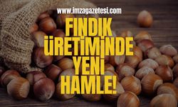 Fındık Üretiminde Yeni Hamle!