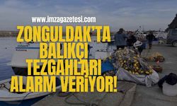 Zonguldak’ta Balıkçı Tezgâhları Alarm Veriyor!