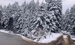 Kar Kalınlığı 10 Santimetreye Ulaştı!