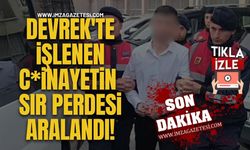 Devrek'te İşlenen C*inayetin Sır Perdesi Aralandı!