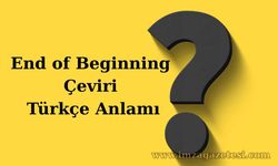 End of Beginning Çeviri Türkçe Anlamı