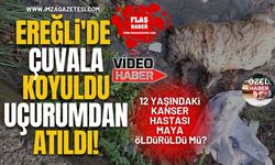 Ereğli'de Çuvala Koyuldu Uçurumdan Atıldı! 12 Yaşındaki Kanser Hastası Maya Öldürüldü Mü?