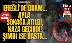 Ereğli'de Dram... Ayla Sokağa Atıldı, Kaza Geçirdi! Şimdi İse Hasta...