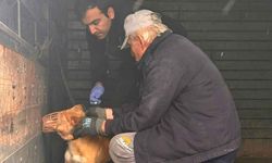 Zonguldak’ta Yeni Yıla Aşıyla Girdiler!