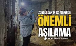 Zonguldak'ın Köylerinde Önemli !Aşılama!