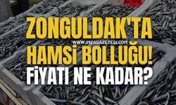 Zonguldak'ta Hamsi Bolluğu Devam Ediyor! Hamsi Ne Kadar?
