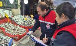 Zonguldak’taki Balıkçılara 453 Bin TL…!