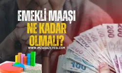 Sizce Emekli Maaşı Ne Kadar Olmalı?