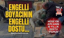 Engelli Boyacının Engelli Dostu... Hüseyin Amcanın 10 Yıllık Dostu "Pamuk"