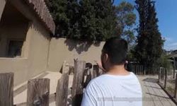 Kadıköy Boğası Nerede Oturuyor? Evi Nerede?