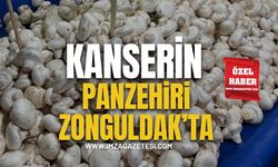 Kanserin Panzehiri Pazaryerinde…!