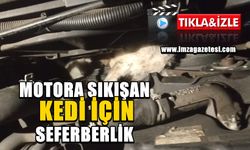 Motora Sıkışan Kedi İçin Seferberlik!