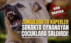 Zonguldak'ta Çocuklara Köpek Saldırdı!
