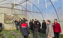 Öğrencilere Sera Alanında…!
