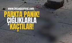 Parkta Panik! Çığlıklarla Kaçtılar