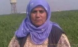 Taybet Ana Neden Vuruldu?