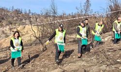 Yeşil Vatan Tohumları…
