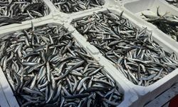 Hamside Fiyat Düşüşü Tezgâhlara Hareket Getirdi!