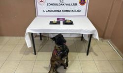 Zonguldak'ta Zehir Tacirlerine Geçit Yok...12 ayrı operasyon düzenlendi!