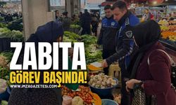 Zabıtada Görev Başında!