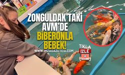 Zonguldak’taki AVM’de Minikler Balıkları Biberonla Bebek…!