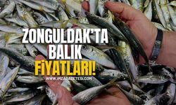 Zonguldak’ta balık fiyatları!