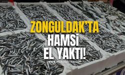 Zonguldak'ta hamsi fiyatı el yaktı!