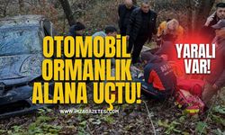 Zonguldak'ta otomobil ormanlık alana uçtu!