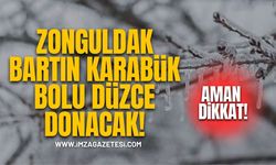 Zonguldak, Düzce, Bartın, Bolu ve Karabük'e don uyarısı!