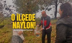O İlçede Naylon…!