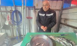 Zonguldak’ta Balıklar Ücretsiz Ayıklanıyor