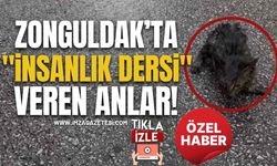 Zonguldak’ta "İnsanlık Dersi" Veren Anlar! Kırık Bacağıyla Yaşama Tutunmaya Çalıştı...