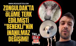 Zonguldak’ta Ölüme Terk Edilmişti... "Benekli"nin İnanılmaz Değişimi!
