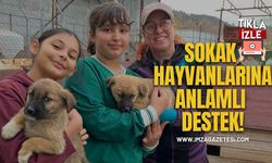 Zonguldak'ta Sokak Hayvanlarına Anlamlı Destek! Çatalağzı Barınağına Mama ve Serum Bağışı...