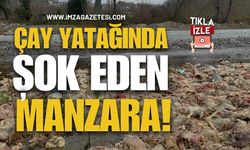 Alaplı’da Çay Yatağında Şok Eden Manzara!