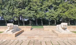 Aslanlı Yolda Neden 24 Aslan Var?