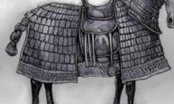 Atın Kuyruğu Neden Bağlanır? Sebebi Nedir?