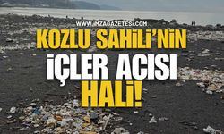 Kozlu Sahili’nin İçler Acısı Hali!