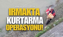 Irmakta Kurtarma Operasyonu!