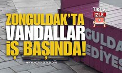 Zonguldak'ta Vandallar İş Başında!