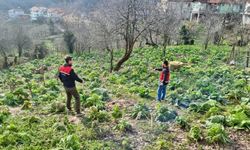 Canlı Hayvan ve Hayvansal Ürünler Denetlendi!