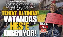 Devrek, Çaydeğirmeni, Gökçebey, Çaycuma Ve Filyos Vadisi Tehdit Altında! Vatandaş HES'e Direniyor!