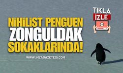 Dünyanın Konuştuğu "Nihilist Penguen" Zonguldak’ta! Yapay Zekayla Şehri Gezdi