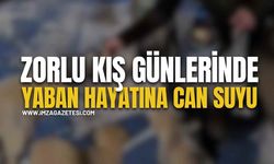 Zorlu Kış Günlerinde Yaban Hayatına Can Suyu