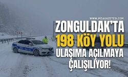 Zonguldak'ta 198 köy yolunu açmak için çalışmalar sürüyor...