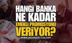 Hangi Banka Ne Kadar Emekli Promosyonu Veriyor?