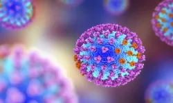 İnfluenza virüsü nedir? Nasıl bulaşır? İnfluenza belirtileri