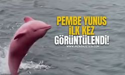 Pembe Yunus İlk Kez Görüntülendi!